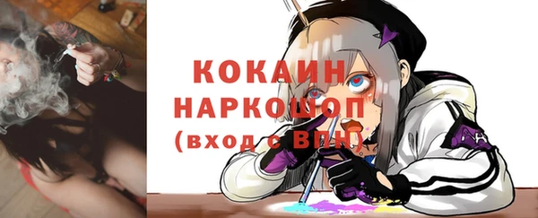 индика Кукмор