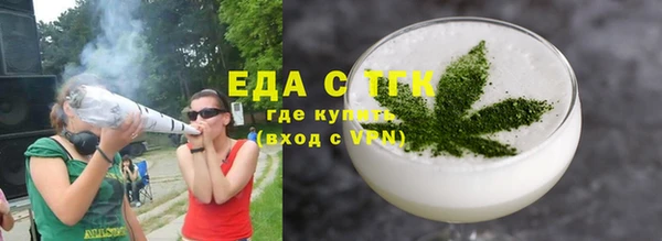 индика Кукмор