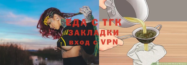 индика Кукмор