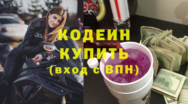 индика Кукмор