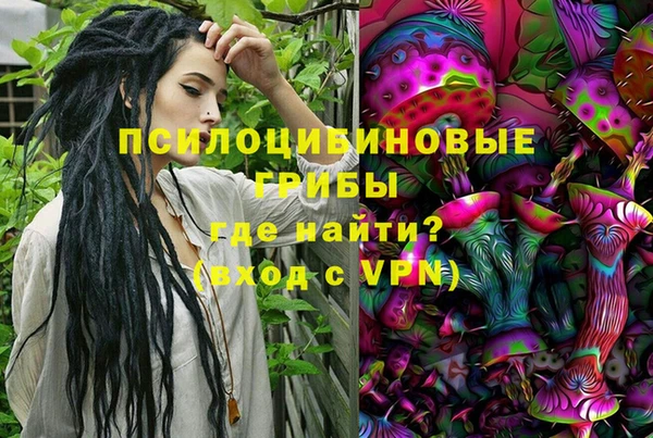 индика Кукмор