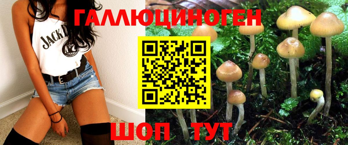 Псилоцибиновые грибы мухоморы  купить закладку  Вход с VPN  Сызрань  Псилоцибиновые грибы мицелий 